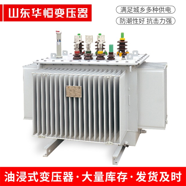S13-10000/35和龙和龙和龙电力变压器